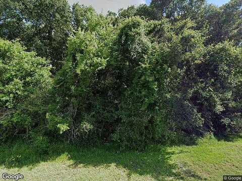 County Road 255, DAMON, TX 77430