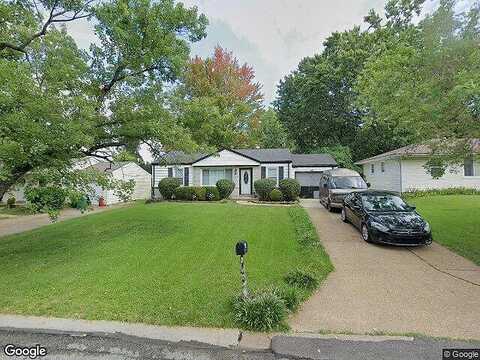Bella, SAINT LOUIS, MO 63137