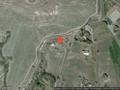 Collins, SELAH, WA 98942