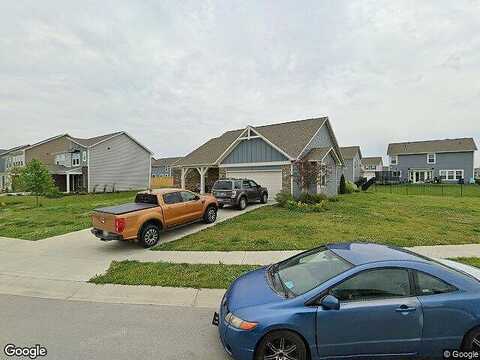 Lupine, PLAINFIELD, IN 46168
