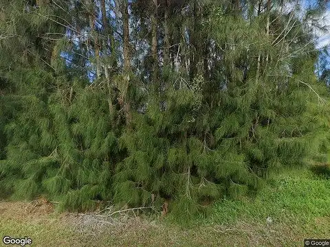 Terrier, ZOLFO SPRINGS, FL 33890
