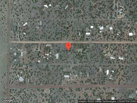 Big Bear, SHOW LOW, AZ 85901