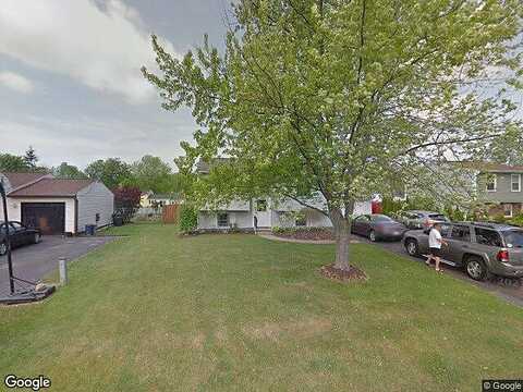 Chinkapin, CICERO, NY 13039