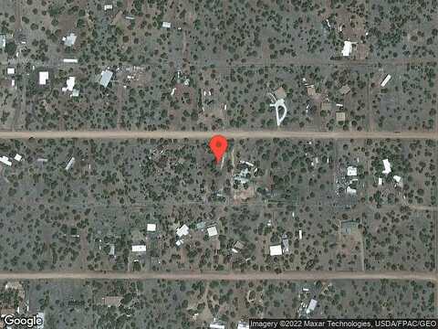 Javelina, SHOW LOW, AZ 85901