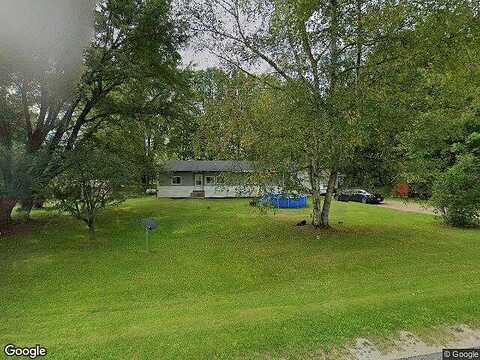Wilson, RODNEY, MI 49342