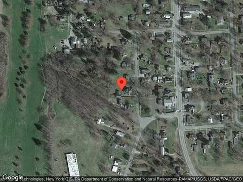 Walnut, NICHOLS, NY 13812