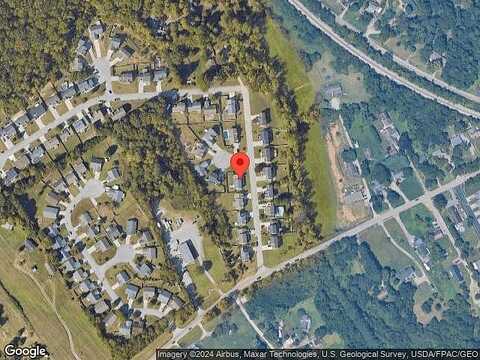 Antler, KNOXVILLE, TN 37931