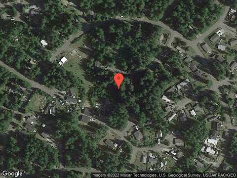 Ginkgo, MAPLE FALLS, WA 98266