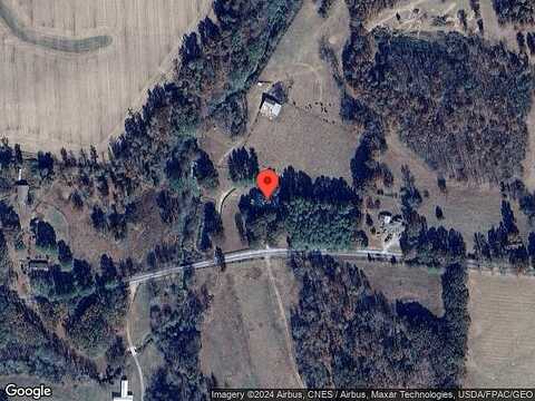 Bridy, SUMMERTOWN, TN 38483