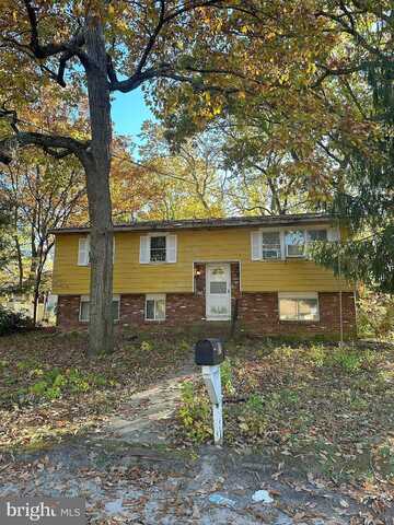 Diamond, PINE HILL, NJ 08021