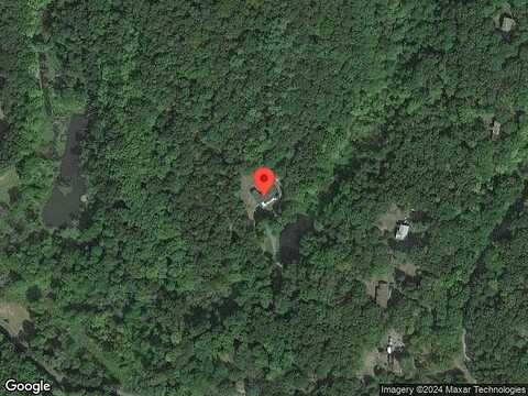 Shadblow, CLINTON CORNERS, NY 12514