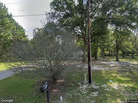 Pine, NICHOLLS, GA 31554