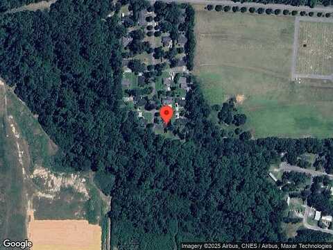 Cardinal, CAIRO, GA 39828