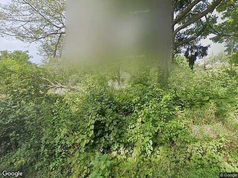 Rountree, HORTON, MI 49246