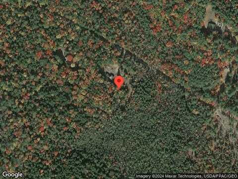 Wilkinson Swamp, EFFINGHAM, NH 03882