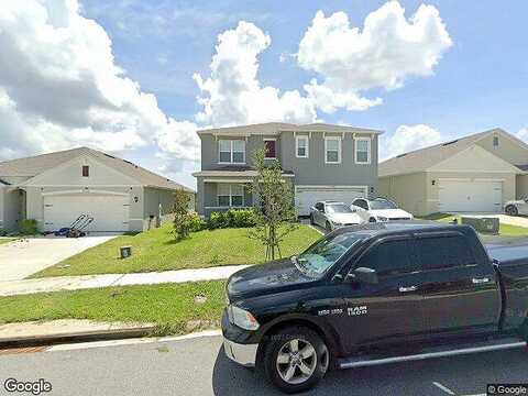 Black Walnut, CLERMONT, FL 34715
