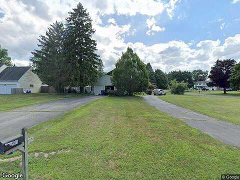 Pear Tree, WEBSTER, NY 14580