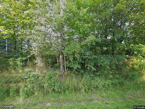 170Th, REED CITY, MI 49677