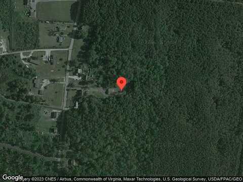 Champ, PRINCESS ANNE, MD 21853