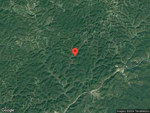 Cotton Tree, CLENDENIN, WV 25045