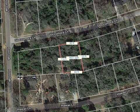 Lot 3 Gloccomora Lane, Normangee, TX 77871