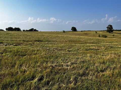 Tbd FM 2930 Highway, Blooming Grove, TX 76626