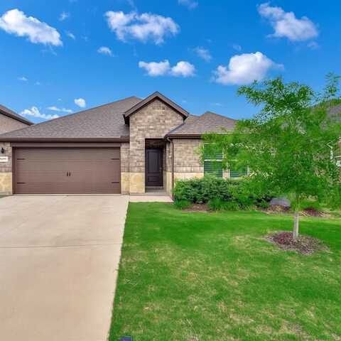 9733 Tinsley Street, Aubrey, TX 76227