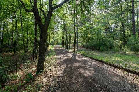 2001 vz county road 4903, Ben Wheeler, TX 75754