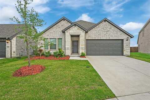 623 Tribble Drive, Princeton, TX 75071