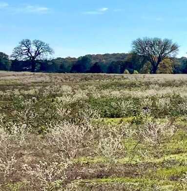 228 Cheaney Road, Valley View, TX 76272