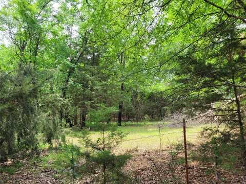 Tbd CR 3145, Clarksville, TX 75426