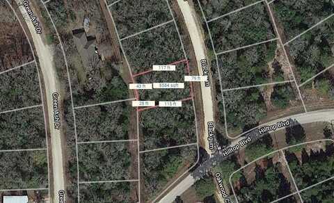 Lot 16 Blackgum, Normangee, TX 77871