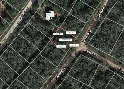 Lot 6 Broken Bow, Normangee, TX 77871