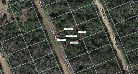 Lot 21 Mulberry Lane, Normangee, TX 77871