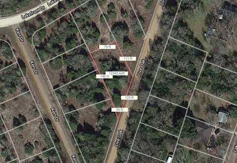 Lot 6 Live Oak, Normangee, TX 77871