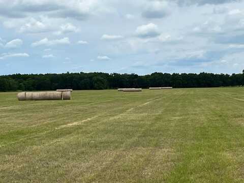Tbd NW CR 1420, Blooming Grove, TX 76626