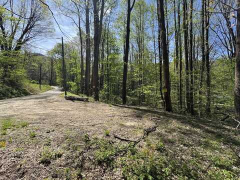 TBD (B) Browning Branch Rd, Waynesville, NC 28786