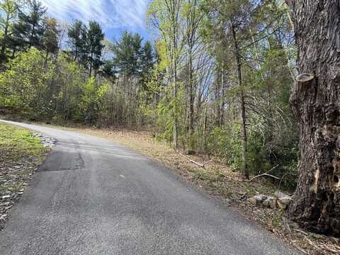 TBD (C) Chestnut Walk Dr, Waynesville, NC 28786