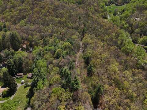 TBD (D) Chestnut Walk Dr, Waynesville, NC 28786