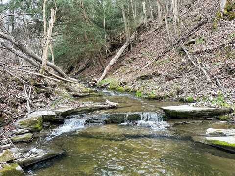 VL Lot 10 Brennan Road, Addison, NY 14801