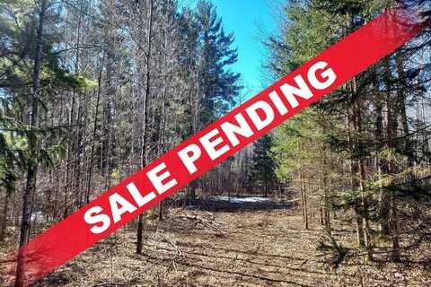 1010 Burrows Lake Road, Tomahawk, WI 54487