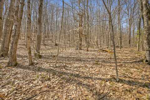 L9.113 Lutheranville Rd, Summit, NY 12175