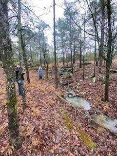 90 Acres in Talihina, Talihina, OK 74571