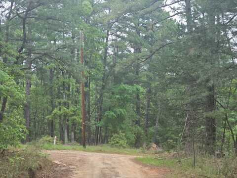 Beaver Dam Rd., Kiamichi Wilderness, Moyers, OK 74557
