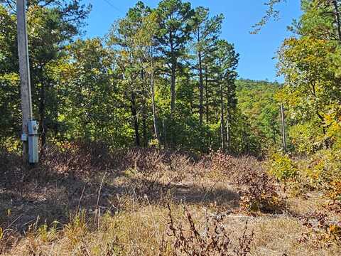 84 Acres Indian Highway & Kiamichi Mtn., Talihina, OK 74577