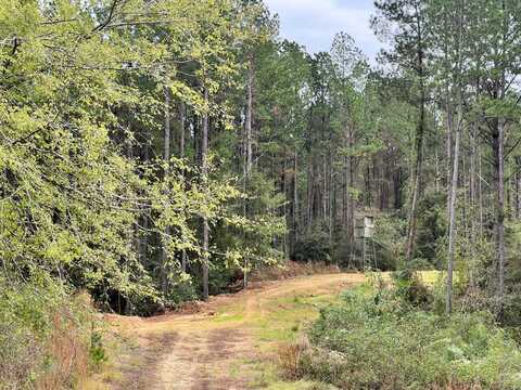 - Hwy 33, Crosby, MS 39633