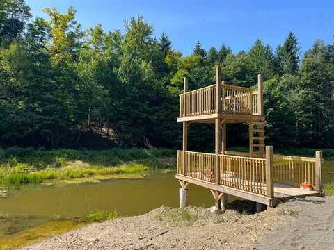 VL Vollentine Road, Randolph, NY, NY 14772