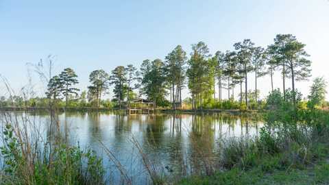 883 Hwy 112, Pelham, GA 31779