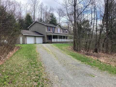 1473 Crystal Meadows Rd, Downsville, NY 13782