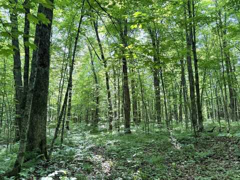 0 Homestead Road, Merrill, WI 54452